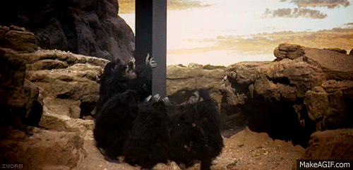 Apes Reaching Out to the Monolith 2001 — Reaction meme