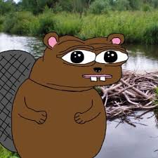 Pepe beaver at dam — Pepe meme