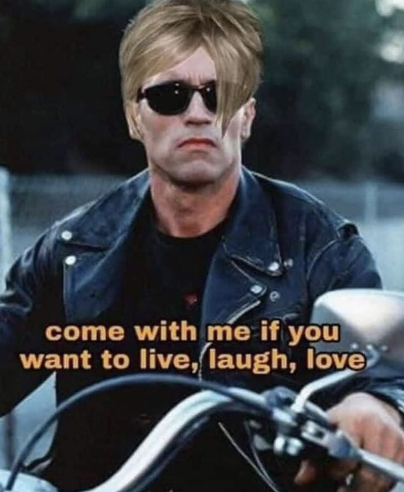 Karen the terminator — Reaction meme