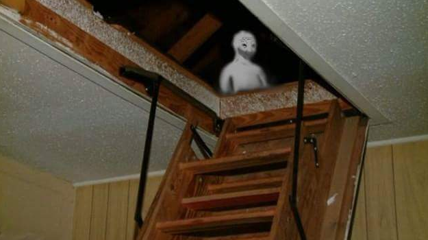 Wojak in attic — Wojak meme