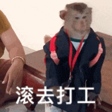 滚去打工 Go to Work Monkey — Memes meme