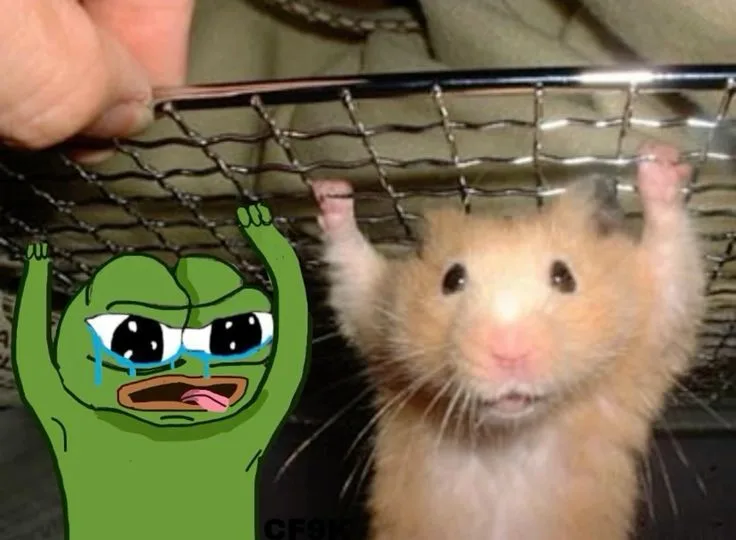 Cage — Apu meme