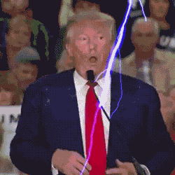 Trump Shocked — Reaction meme
