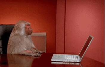 Monkey throwing computer off desk — Reaction meme