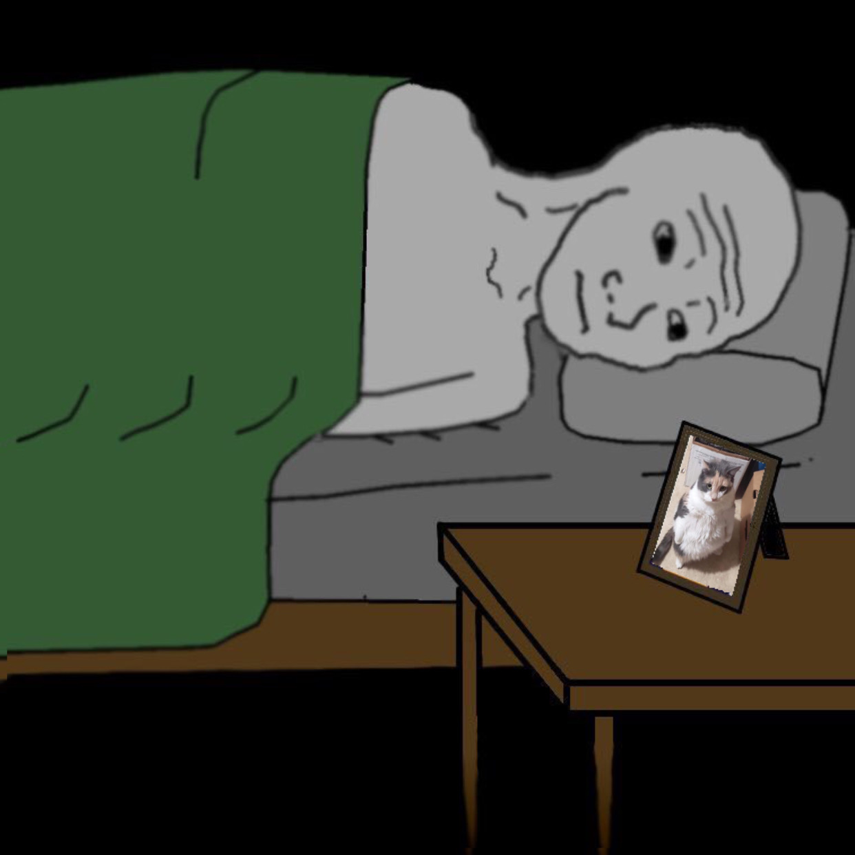 Wojak in bed looking at cat — Wojak meme