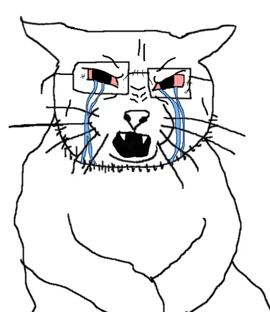 Soy cat — Wojak meme