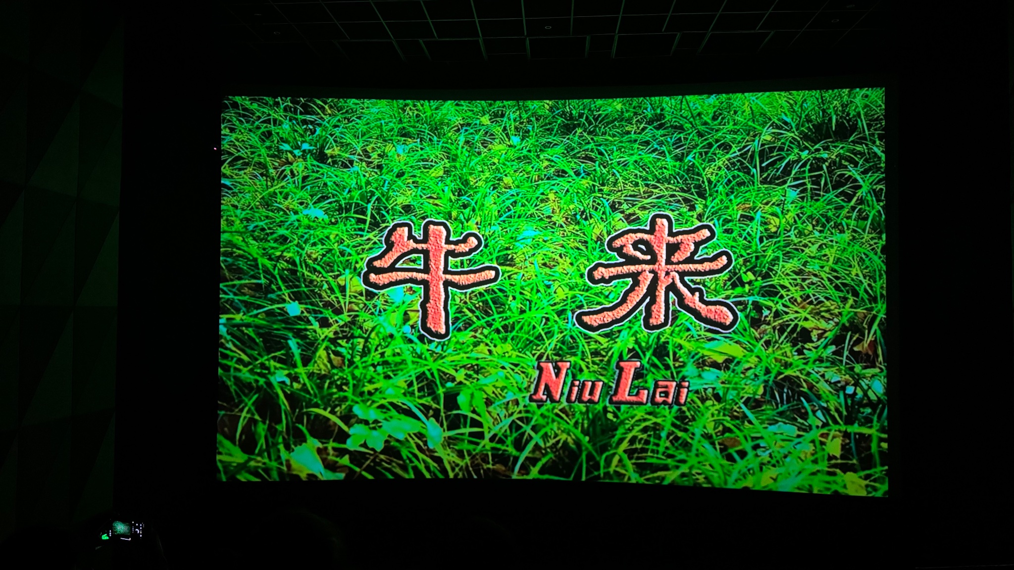 牛来 Niu Lai — Memes meme