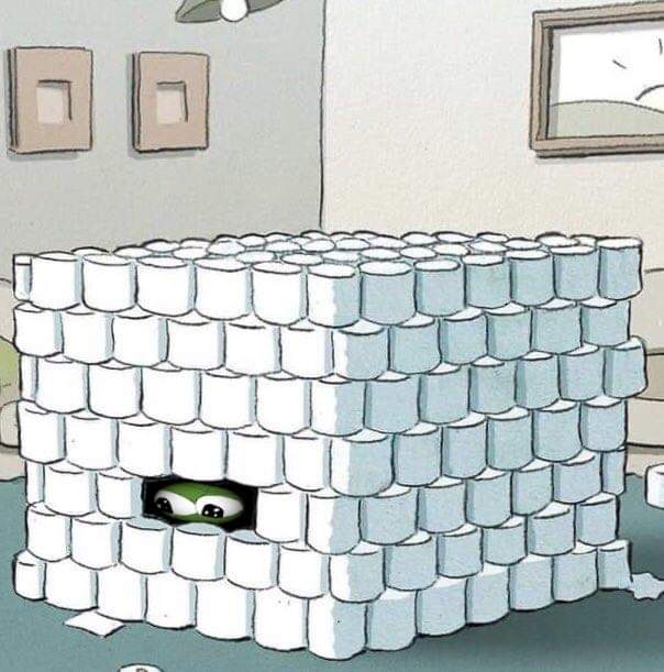 Pepe toilet paper fort — Pepe meme