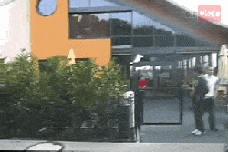 Hopping Over Fence Fail — Memes meme