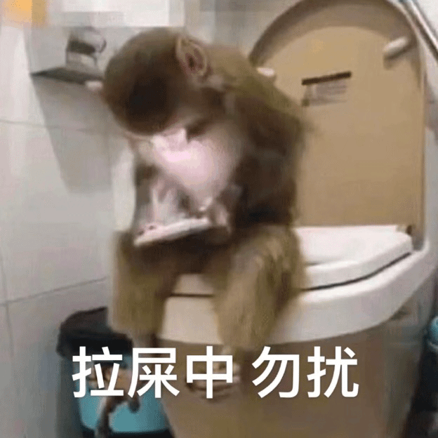 拉屎中 勿扰 Monkey Shitting Don't Bother — Memes meme