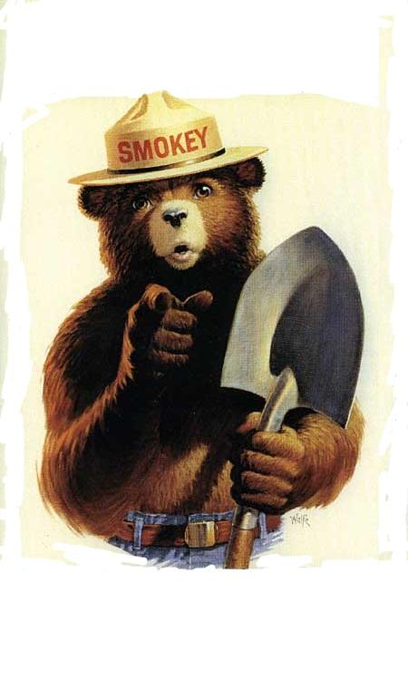 Smokey The Bear meme template — Templates meme