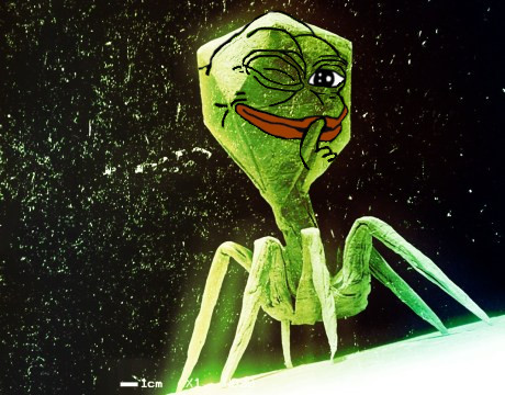 Pepe bacteriophage — Pepe meme