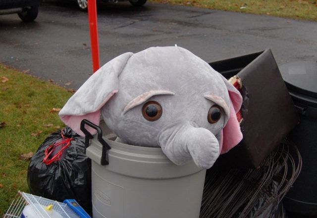 Elephant plush trash — Reaction meme