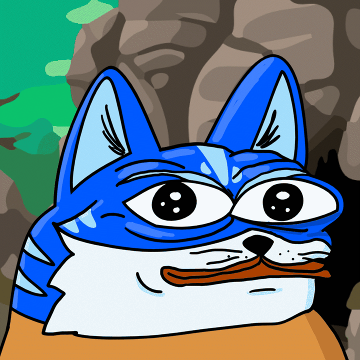 Toshi cat going into cave — $TOSHI meme