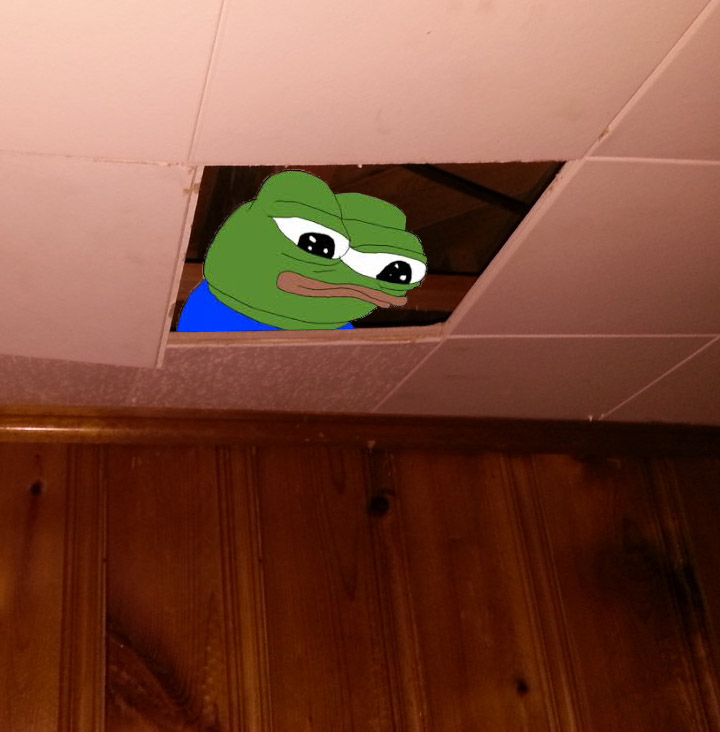 Pepe peeking through dropdown ceiling — Pepe meme