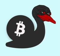 Pepe black swan bitcoin snail smug — Pepe meme