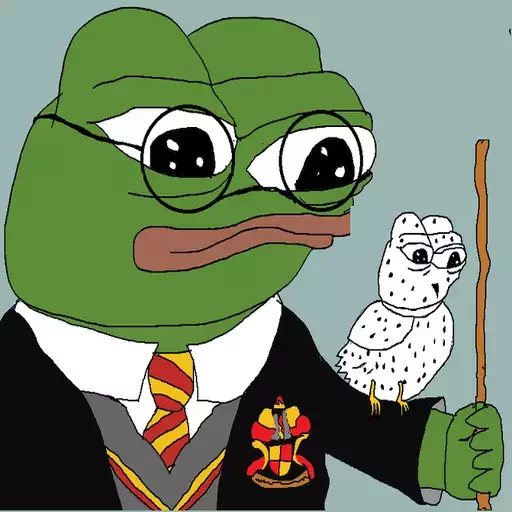 Wizard with owl Frog Friends sticker — Sticker Packs meme