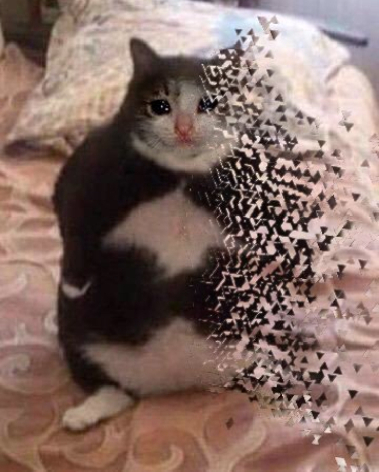 Fat crying cat snapped — Reaction meme