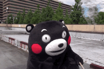 Kuma Bear Got Splashed — Reaction meme