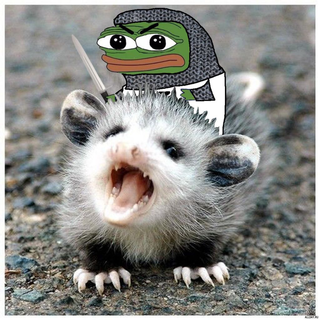 Pepe crusader riding possum — Pepe meme