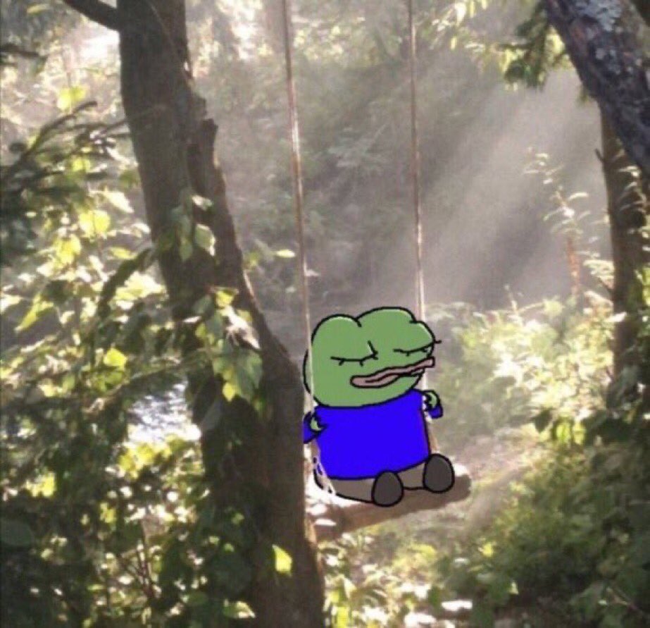Pepe at peace swinging in forest — Pepe meme