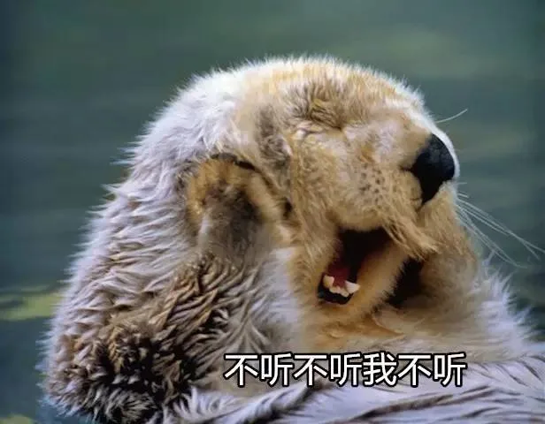 不听不听 Not Listening — Reaction meme