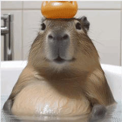 Beaver Rubbing Tummy — Reaction meme