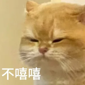 不嘻嘻 — Reaction meme